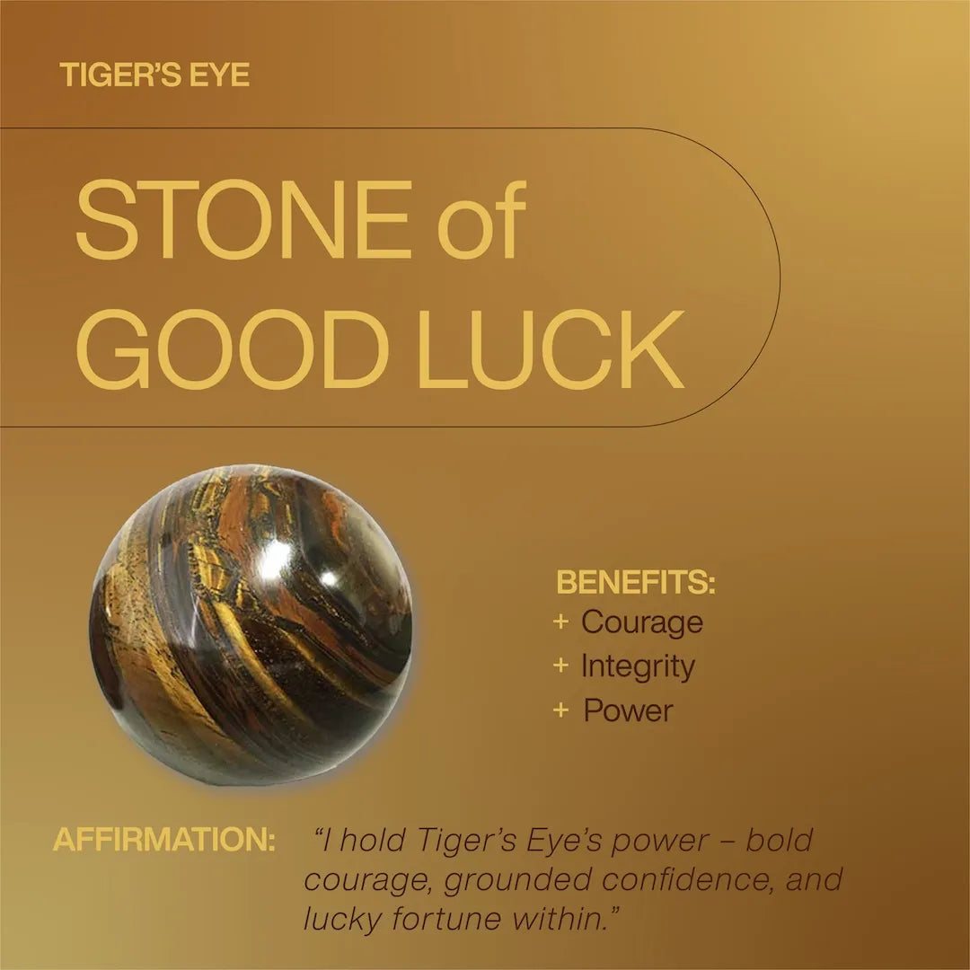 Oracle Tiger's Eye Stud Earrings