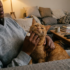 White Baroque Pearl Bee Open Ring