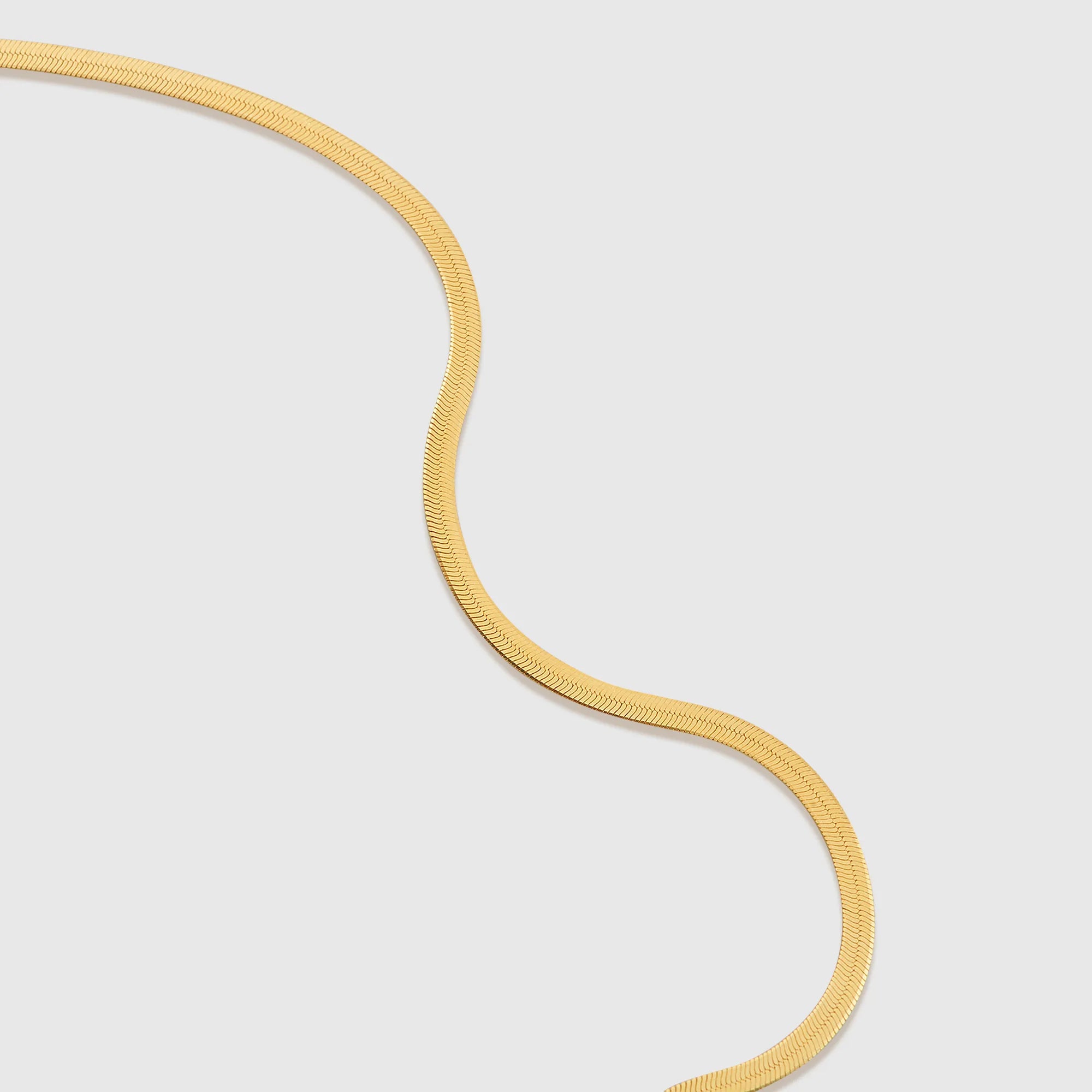 Snake Chain Necklace